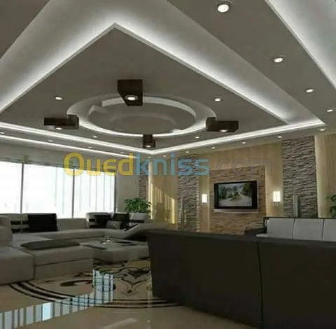 ديكورات بلاكوبلاتر BA13