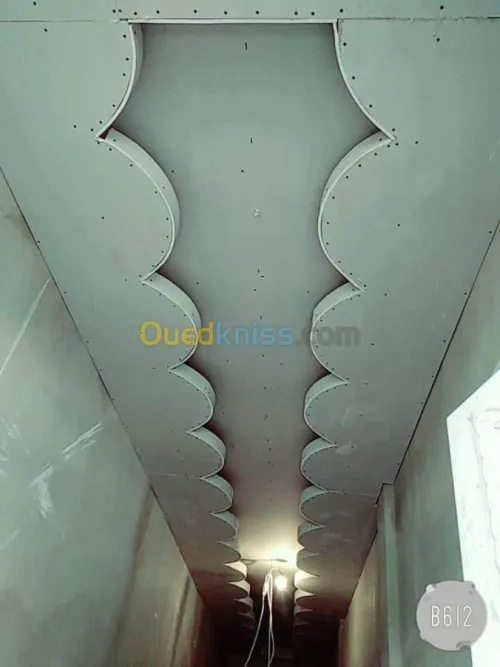 ديكورات بلاكوبلاتر BA13