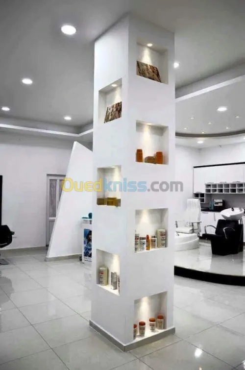 ديكورات بلاكوبلاتر BA13