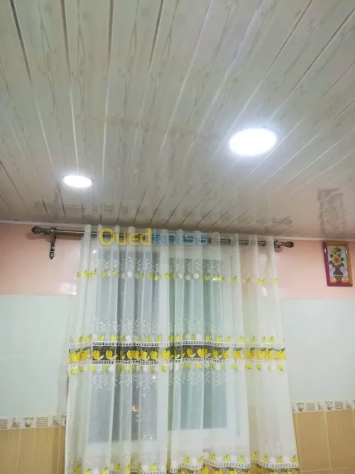 Faux plafond PVC  & polycarbone