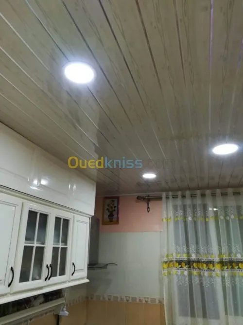 Faux plafond PVC  & polycarbone