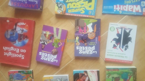 Livres lecture/scolaires 