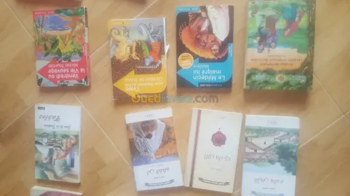 Livres lecture/scolaires 