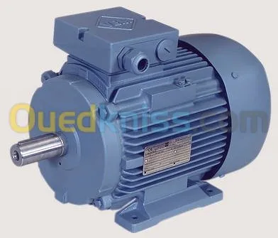Réparation moteur électrique