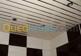 fond plafond pvc touts tous les modele