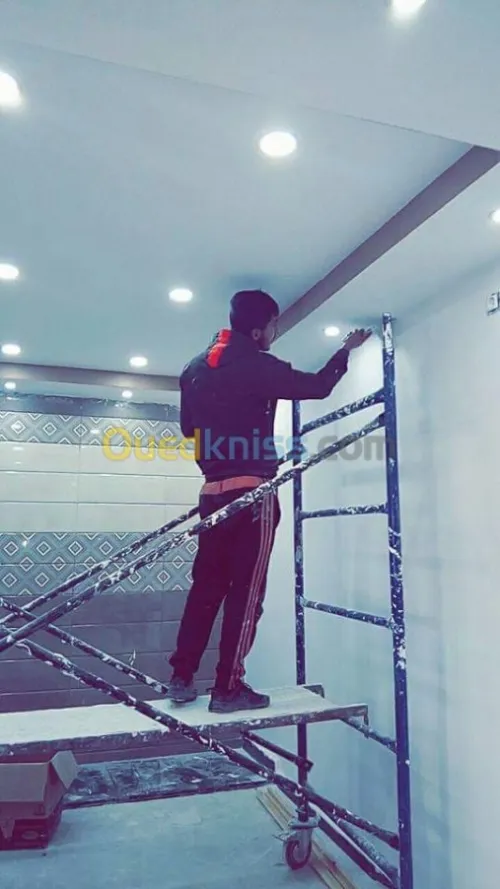   Placo plâtre ba13 ba10  pvs 