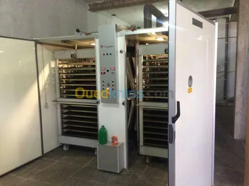 machine de production de poussins