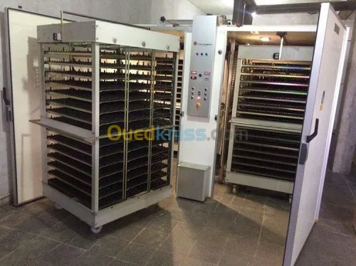 machine de production de poussins