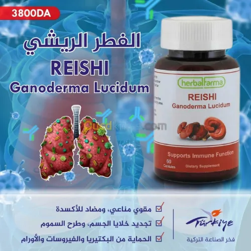  Ganoderma Reishi .(الفطر الريشي (ملك الأعشاب