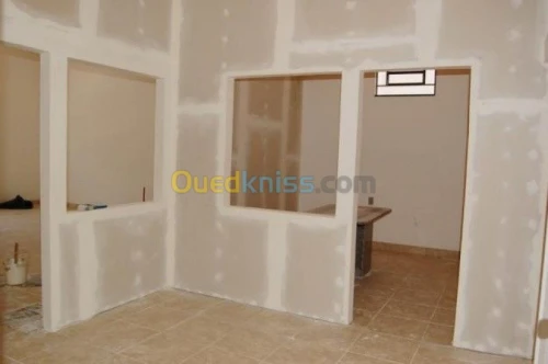 ديكورات البلاكو بلاتر (BA13 )