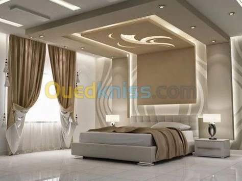 ديكورات البلاكو بلاتر (BA13 )