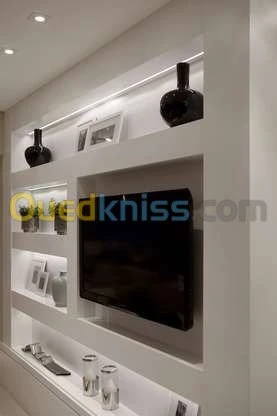 ديكورات البلاكو بلاتر (BA13 )