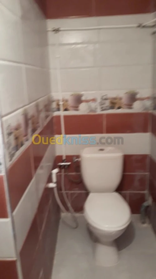 fayence et dale de sol