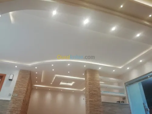 Pose de plafond en ba13 et démontable 