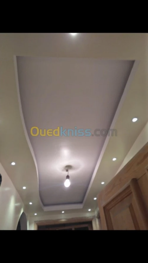 Pose de plafond en ba13 et démontable 