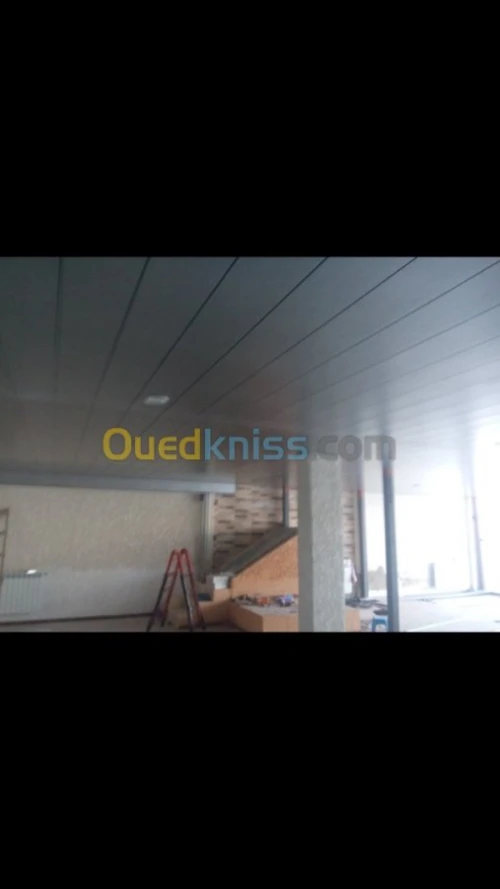 Pose de plafond en ba13 et démontable 