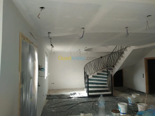 Decoration /Ba13 