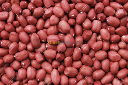 Fruits tropical (Exotique).