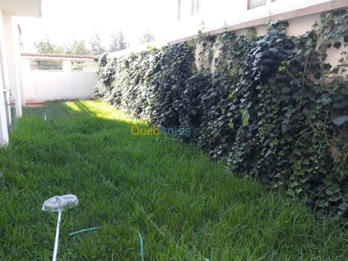 Location Immeuble Alger Hydra