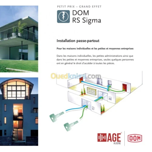 Cylindres Organigramme