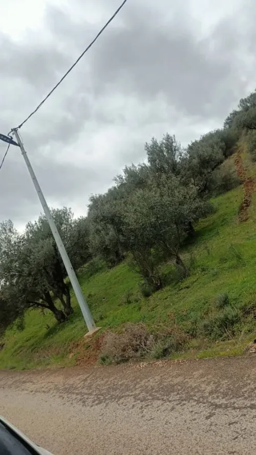 Vente Terrain Béjaïa Souk oufella