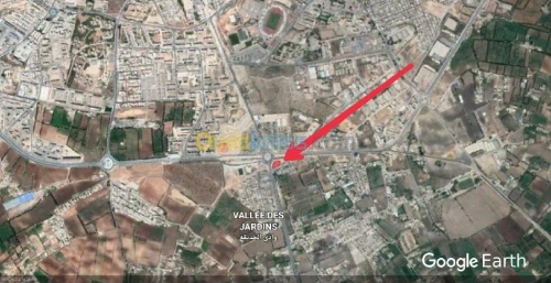 Vente Terrain Mostaganem Mostaganem