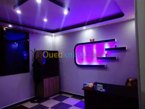  Placoplatre faux plafond PVC 