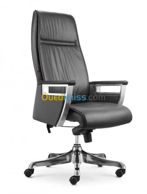 FAUTEUILS DIRECTIONNELS