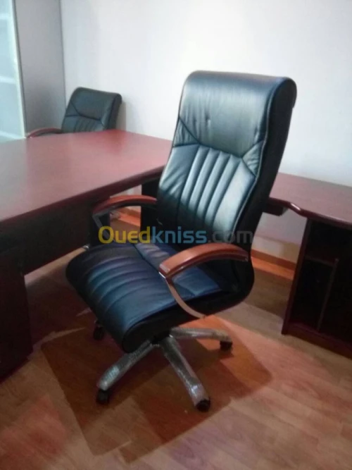 FAUTEUILS DIRECTIONNELS