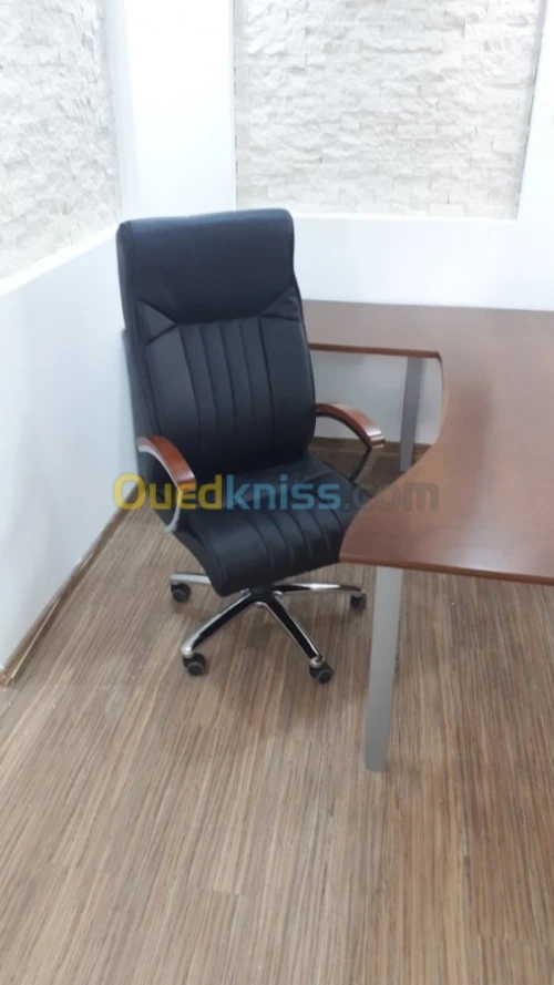 FAUTEUILS DIRECTIONNELS