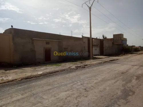 Vente Terrain Sidi bel abbes Sidi bel abbes
