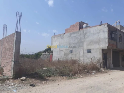 Vente Terrain Boumerdes Hammedi