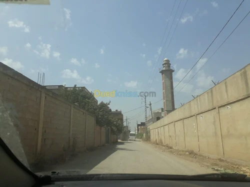 Vente Terrain Boumerdes Hammedi