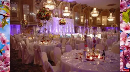 Location des chapiteaux ect’...وتنظيم 
