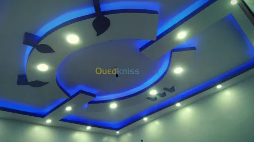 placo plâtre 