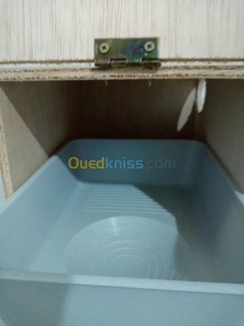 بياضة عش للبادجي