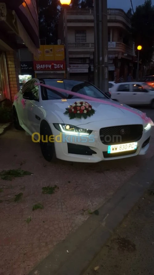 Location voiture de luxe pour cortège 