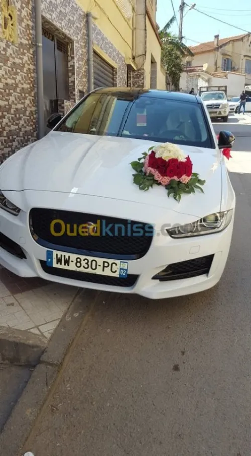 Location voiture de luxe pour cortège 