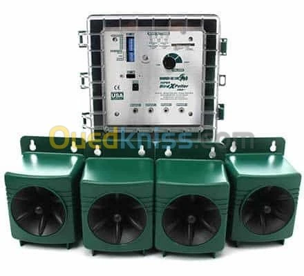 depigionnage professionnel 