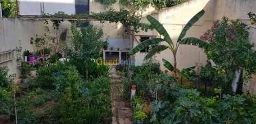 Vente Villa Mostaganem Mostaganem