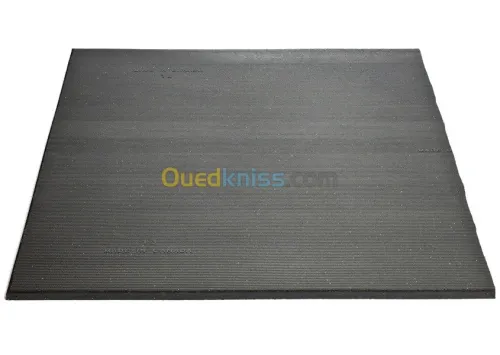 TAPIS (TAMIS)