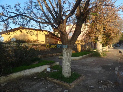 Vente Villa Mascara Mohammadia