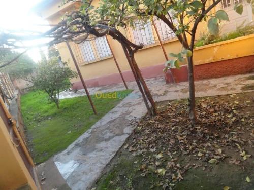 Vente Villa Mascara Mohammadia