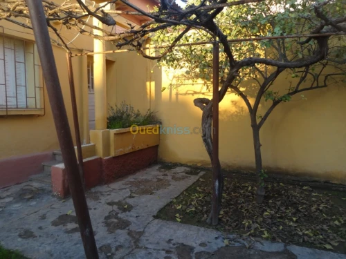 Vente Villa Mascara Mohammadia