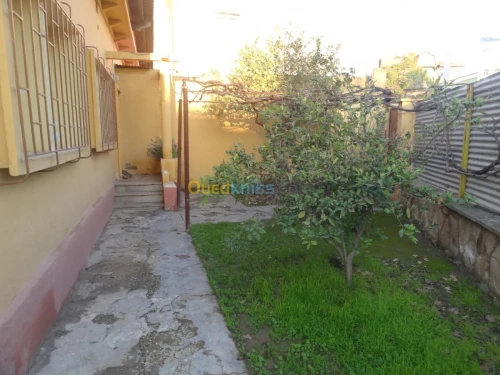 Vente Villa Mascara Mohammadia
