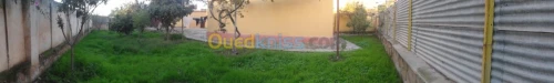 Vente Villa Mascara Mohammadia