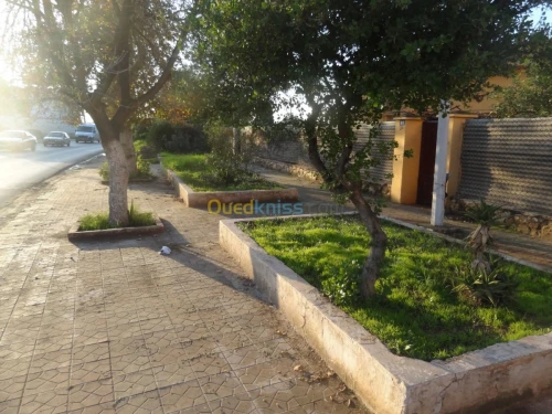 Vente Villa Mascara Mohammadia