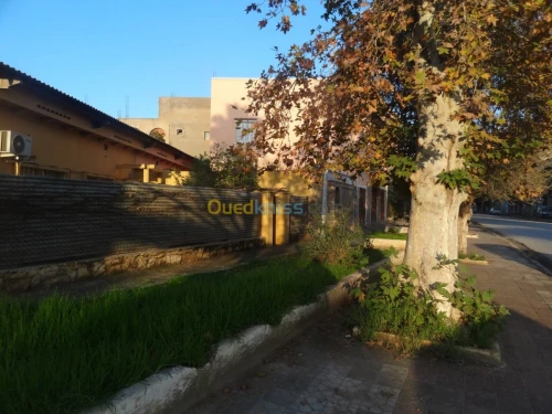 Vente Villa Mascara Mohammadia