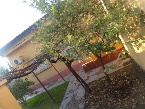 Vente Villa Mascara Mohammadia