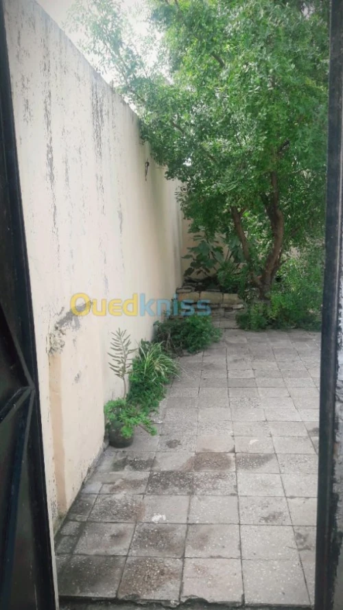 Vente Villa Skikda Hamadi krouma